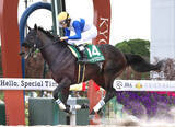 「【平安Ｓ】ロードクロンヌが圧勝で重賞２勝目　四位洋文調教師は同レース初の騎手と双方での制覇」の画像1