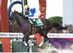 【平安Ｓ】ロードクロンヌが圧勝で重賞２勝目　四位洋文調教師は同レース初の騎手と双方での制覇