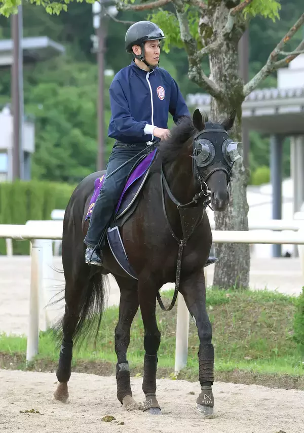 【宝塚記念】どれを買えばいいの！　ボーナスがかかるクロワデュノールと有馬記念を勝ったミュージアムマイル、レガレイラなど１８頭が登録