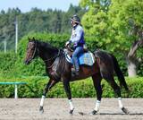 「土曜福島競馬場の注目激走馬…福島１１Ｒ阿武隈ステークス」の画像1