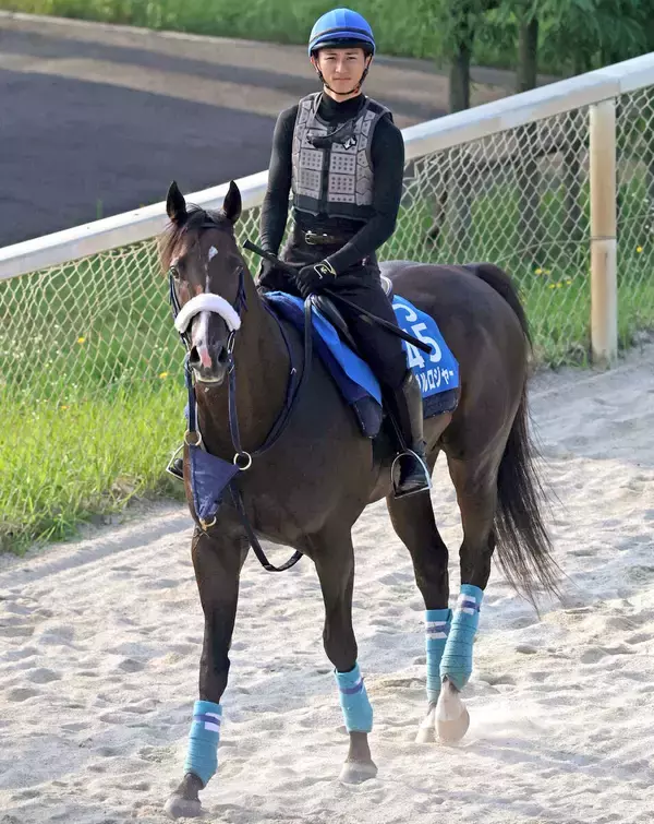 今週の中京競馬場は最高気温３８～４０度予想　東海Ｓ出走のノーブルロジャーは「わざと遅い時間に乗って」暑熱順化