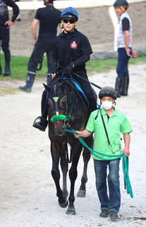 【毎日王冠】サトノシャイニングが賞金加算し再びＧ１戦線へ　杉山晴調教師「ここで結果を出してほしい」