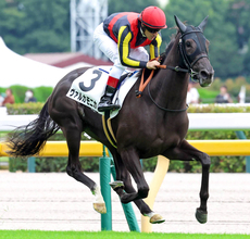 衝撃の７馬身差デビューⅤにネット震える「なんだあれ」「凄いの出てきた」　東京５Ｒのヴァルカモニカ