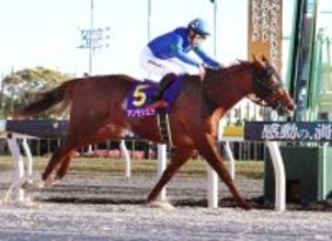 【注目馬動向】ＪＢＣレディスクラシック連覇のアンモシエラ引退　松永幹調教師「最後の大きなところを勝ってくれる馬」