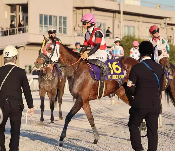 【東京大賞典】ラストランのグランブリッジは８着　新谷調教師は「牡馬を相手に頑張った」ねぎらう　繁殖入りへ