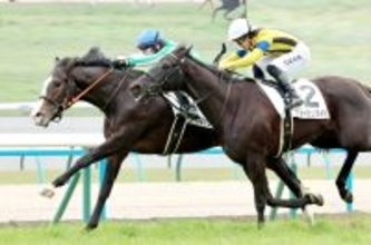 【京都５Ｒ・３歳新馬】１３番人気のタイキルッジェーロ１着で３連単１５９万馬券！　斎藤新騎手「使ってからかなと…」