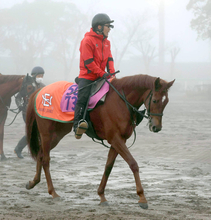 【フェアリーＳ】活気あふれる雰囲気のヴァリスマリネリス　中舘調教師「とても順調です」