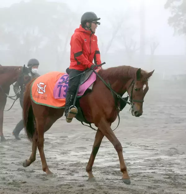 【フェアリーＳ】活気あふれる雰囲気のヴァリスマリネリス　直前の気配に中舘調教師「落ち着いてきています」
