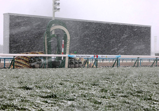 【きさらぎ賞】関東馬ゾロアストロのみ京都に到着　関西馬６頭と滞在馬２頭は栗東トレセンで調整