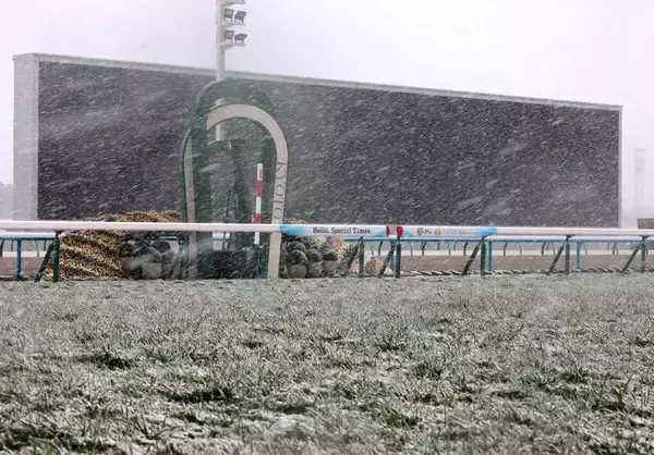 【きさらぎ賞】関東馬ゾロアストロのみ京都に到着　関西馬６頭と滞在馬２頭は栗東トレセンで調整