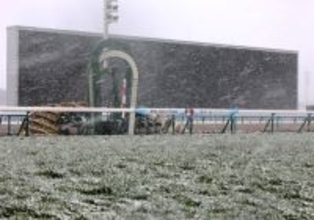 【きさらぎ賞】関東馬ゾロアストロのみ京都に到着　関西馬６頭と滞在馬２頭は栗東トレセンで調整