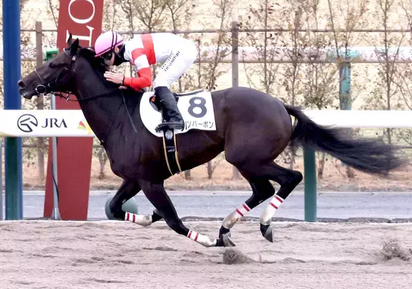 【注目馬動向・３歳】無傷２連勝のダノンバーボンは伏竜Ｓへ　ショウナンガルフはスプリングＳ目標