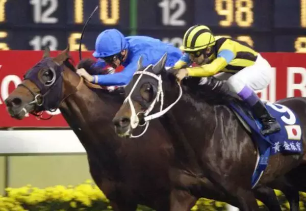 【競走伝】競馬史に残る名バイプレイヤーが武豊騎手とついにつかんだ初タイトル　 ００年目黒記念