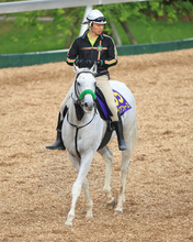 【安田記念・１週前】白い馬体が躍動！ガイアフォースが坂路でド迫力の動き　杉山晴調教師「時計も速かったですし、動きもいいです」
