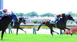 「「日本での騎乗にいつも感謝」レーン騎手が東京３ＲのワディアルリヤハでＪＲＡ通算２００勝達成　現役５７人目」の画像1