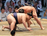 「新入幕の一意、豊昇龍の横綱土俵入りで初めて露払いを務める「貴重な経験をさせていただいた」」の画像1