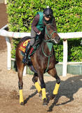 「【注目馬動向】「喉が鳴ってしまった」リアライズルミナスは紫苑Ｓから秋華賞出走へ　橋口調教師「大きな問題はない」」の画像1
