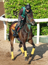 【注目馬動向】「喉が鳴ってしまった」リアライズルミナスは紫苑Ｓから秋華賞出走へ　橋口調教師「大きな問題はない」