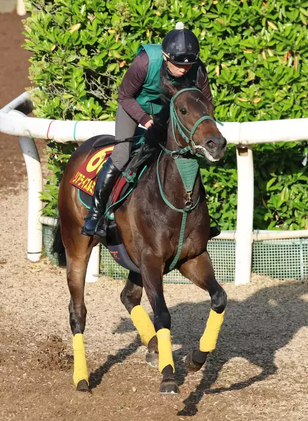 【注目馬動向】「喉が鳴ってしまった」リアライズルミナスは紫苑Ｓから秋華賞出走へ　橋口調教師「大きな問題はない」