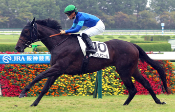 【阪神５Ｒ・２歳新馬】ネーロノワールが最後方追走もノーステッキでＶ　斉藤崇調教師「ゲート以外は言うことない」