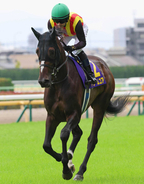 １２日は騎乗機会４連勝「無双モード」「買います」ルメール騎手が秋華賞で見据える偉業は　紫苑Ｓ３着ドリームコアで参戦