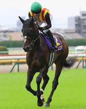 １２日は騎乗機会４連勝「無双モード」「買います」ルメール騎手が秋華賞で見据える偉業は　紫苑Ｓ３着ドリームコアで参戦