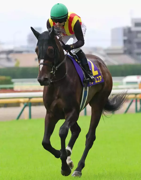 １２日は騎乗機会４連勝「無双モード」「買います」ルメール騎手が秋華賞で見据える偉業は　紫苑Ｓ３着ドリームコアで参戦