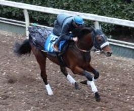 【鳴尾記念】チャレンジＣ覇者オールナットは大外８枠１４番に決定　グランヴィノスは１３番