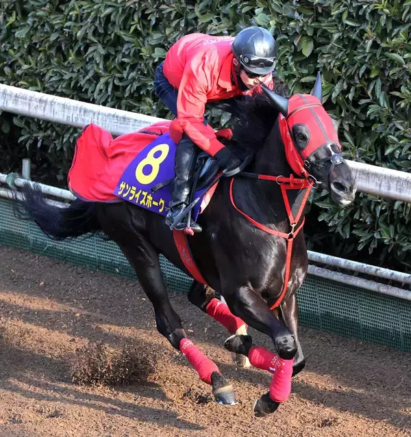 【フェブラリーＳ】１週間遅れのバレンタインだ！サンライズホークは連闘でフェブラリーＳへ