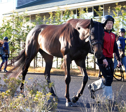 【注目馬動向】皐月賞４着アスクエジンバラは岩田康誠騎手で日本ダービーへ　福永調教師「次はもう一段、上げて使える」