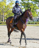 「【注目馬動向】天皇賞・春に登録のあるプレシャスデイは吉村誠之助騎手とのコンビでＧ１初挑戦へ」の画像1