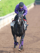 【ヴィクトリアＭ】カムニャックは坂路で軽快　友道調教師は東京替わりで前走首差のライバルと「もう少し差は縮まる」