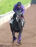 【ヴィクトリアＭ】カムニャックは坂路で軽快　友道調教師は東京替わりで前走首差のライバルと「もう少し差は縮まる」