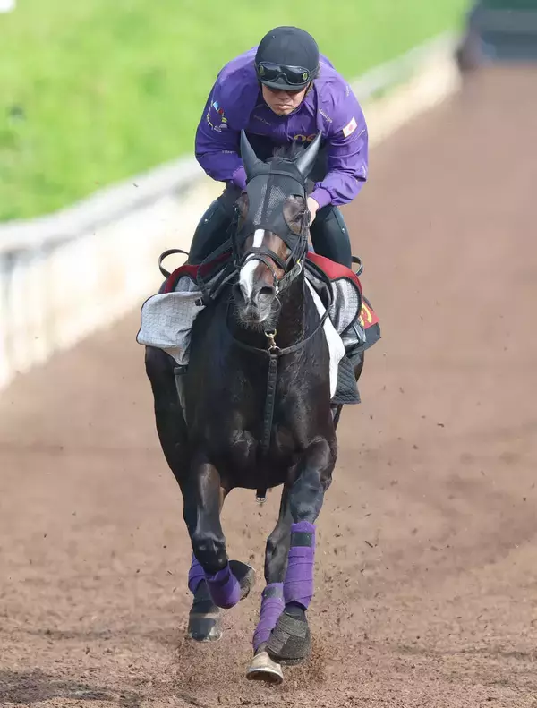 【ヴィクトリアＭ】カムニャックは坂路で軽快　友道調教師は東京替わりで前走首差のライバルと「もう少し差は縮まる」