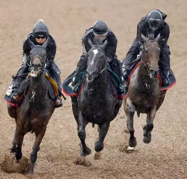 【宝塚記念・１週前】レガレイラは３頭併せでゴール板を過ぎても緩めないハードトレ　陣営「中身のある調教ができた」