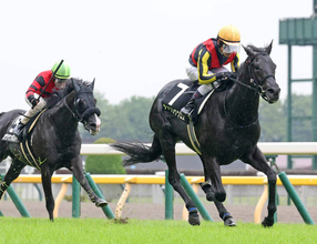 【東京９Ｒ・町田特別】クロワデュノールの全弟が菊花賞につながる３勝目　戸崎圭太騎手「いい馬ですね」