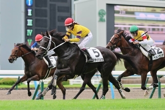 １番人気が競走中止→人気馬総崩れで３連単６６８万円超の大波乱にネット騒然「これぞ夏競馬」「ぶっ壊れがすぎる」