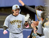 「【阪神】“虎の浜ちゃん”代打・浜田太貴が移籍１号！　８回に牧野憲伸の変化球を左翼ホームランウイング席へ」の画像1