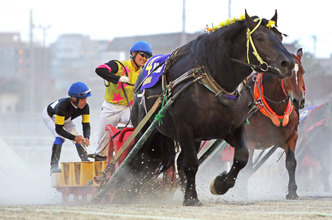 岩田康誠騎手がばんえい競馬で圧勝…　あれ！？　追っていたのは本業の騎手で…　ＪＲＡジョッキーＤＡＹ２０２６