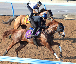 【新潟記念】２４年菊花賞馬が仕切り直しの一戦へ上昇気配　武井調教師「ワンターンは集中力が持続する」