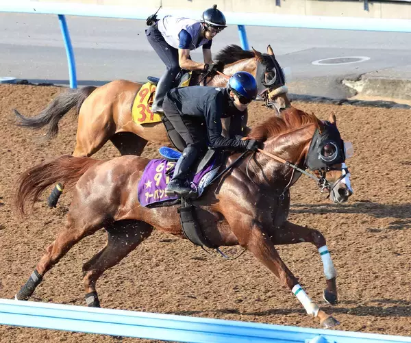 【新潟記念】２４年菊花賞馬が仕切り直しの一戦へ上昇気配　武井調教師「ワンターンは集中力が持続する」