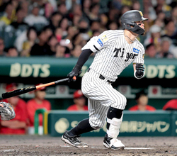 ＥＳＰＮの敏腕記者が阪神・佐藤輝明を高評価　村上の活躍が後押しに