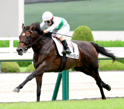 【阪神５Ｒ・２歳新馬】往年のファン感激！　近親にナリタブライアン＆ビワハヤヒデがいるブラッドバローズが逃げ切り初陣Ｖ