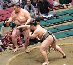 元十両の三田　栃武蔵を押し出しで下し２勝目　「圧はあったけど、しっかり当たって前に出られた」