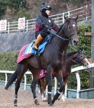 土曜東京競馬場の注目激走馬…東京１１Ｒ白富士ステークス（Ｌ）