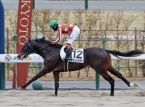 【京都４Ｒ・３歳新馬】９番人気のアレンスターが圧巻の８馬身差でＶ　三浦皇成騎手「秘めているものは高い」