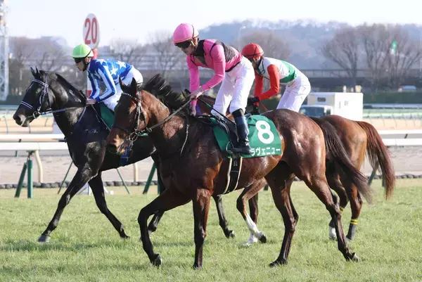 「怪物候補だったのに」「どうした？」馬券圏外のクラシック候補にネットざわつく　共同通信杯４着のラヴェニュー