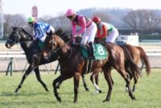 「怪物候補だったのに」「どうした？」馬券圏外のクラシック候補にネットざわつく　共同通信杯４着のラヴェニュー