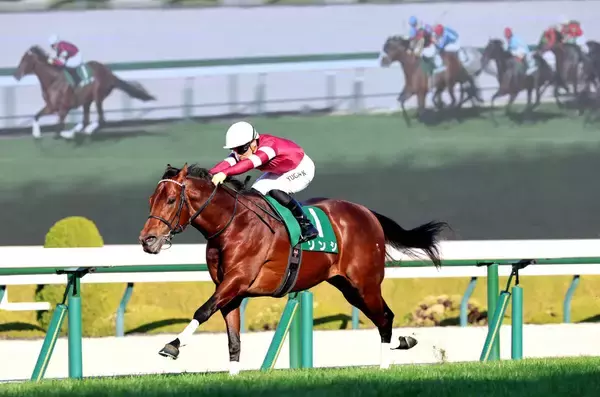 【阪急杯】ソンシ骨折明けも１分１８秒９のコースレコードで重賞初制覇