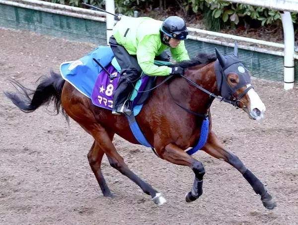 【オーシャンＳ・データ埋蔵金】年齢別でダントツの６勝を挙げる５歳馬＆連対率から牝馬狙い　鞍上も頼もしいママコチャ